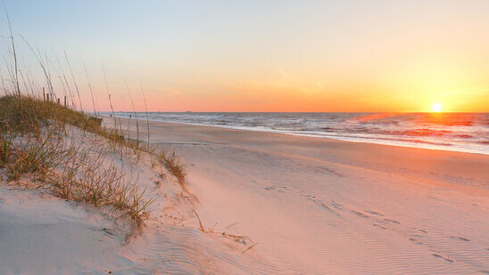 Why a Local Insurance Agency Matters in Coastal South Carolina