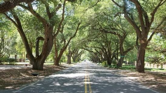 Retiring in South Carolina? Give Your Car Insurance a Fresh Look